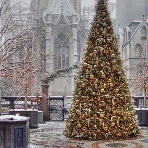 Meet your Posher, Tara